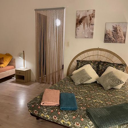 T2 Plein Centre Au 1Er Etage Avec Parking Prive Apartment Мийо Екстериор снимка